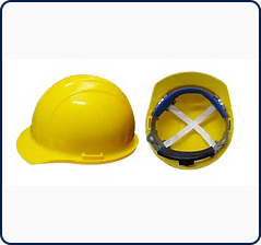 CASCO-ERB-americana